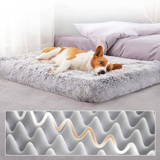 Lumera™ SpryRest Therapy Bed