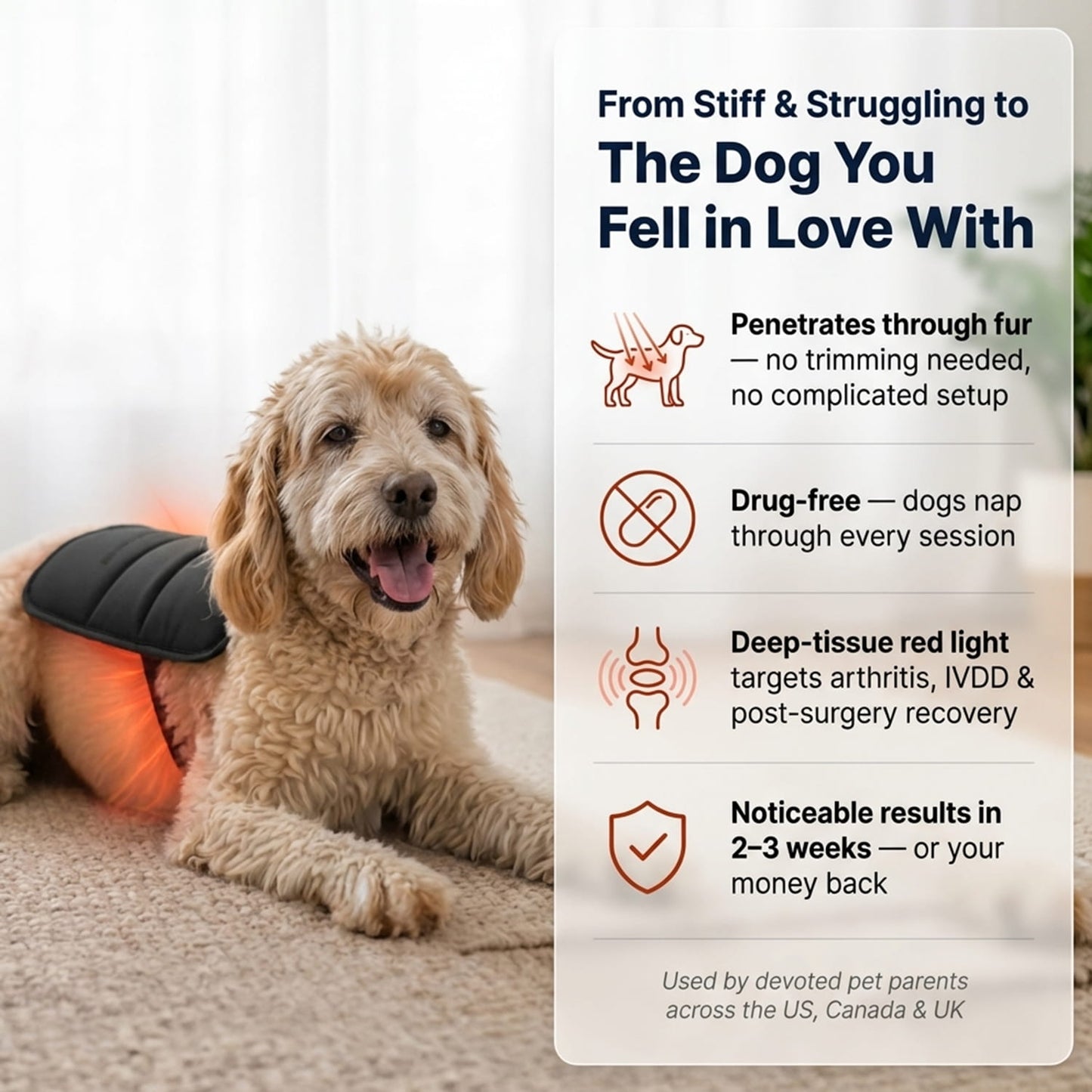 Lumera™ Pet Red Light Pad