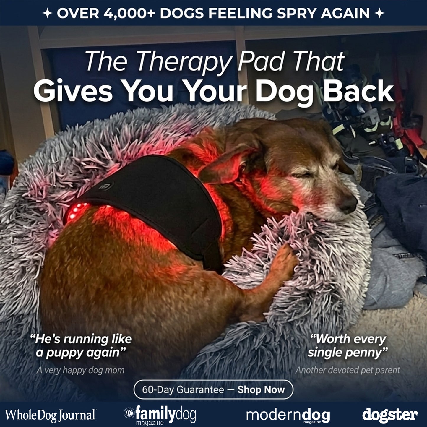 Lumera™ Pet Red Light Pad